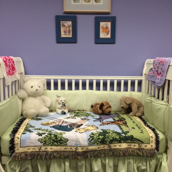 Nursery Crib/daybed